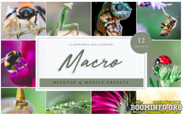 [Elements.Envato] Lightroom Presets – Macro Vol. 1_0.png